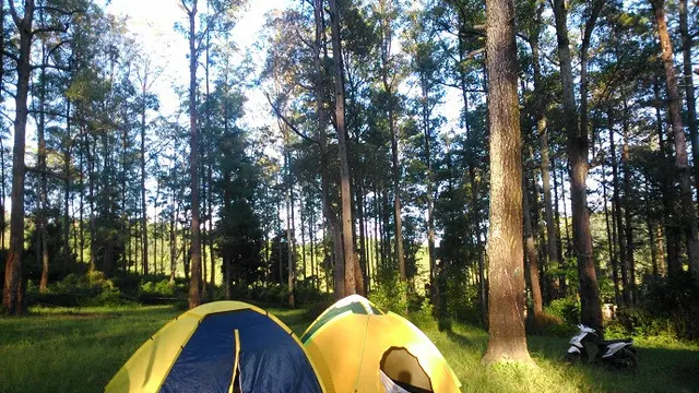 Tempat Berkemah di Jawa Timur