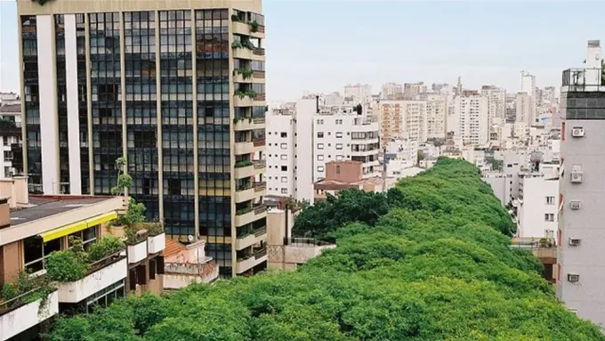 Rui Goncalo de Carvalho