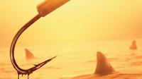 Dangerous Animals bikin kejutan karena masuk radar Festival Film Cannes 2025 untuk sesi Directors&rsquo; Fortnight. Publik bertanya sementereng apa film ini? (Foto: Dok. LD Entertainment/ KlikFilm)