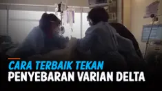 penyebaran delta