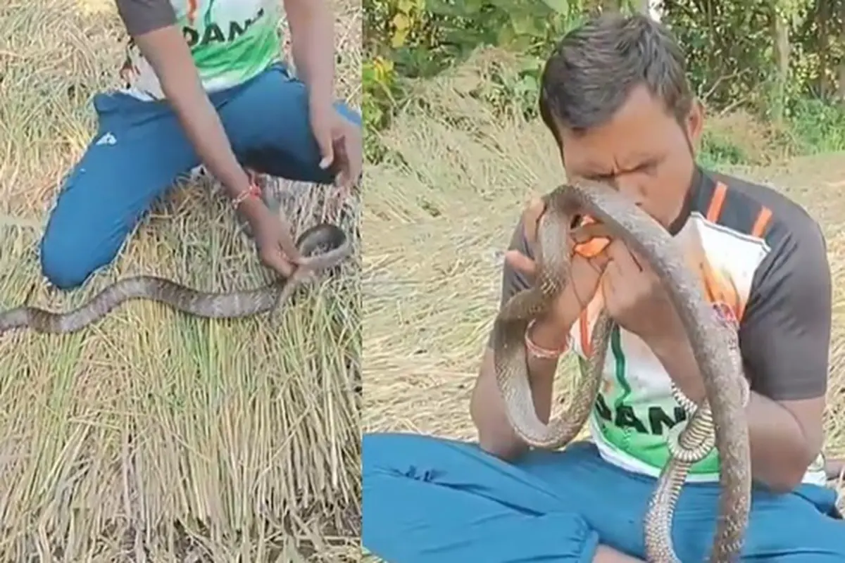 Viral Aksi Heroik Pria Lakukan CPR untuk Selamatkan Ular Kesetrum, Banjir Pujian