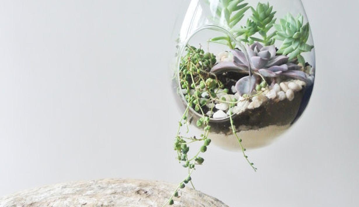  Inspirasi  Pot  Pot  Gantung  Cantik Dan Asri Untuk 