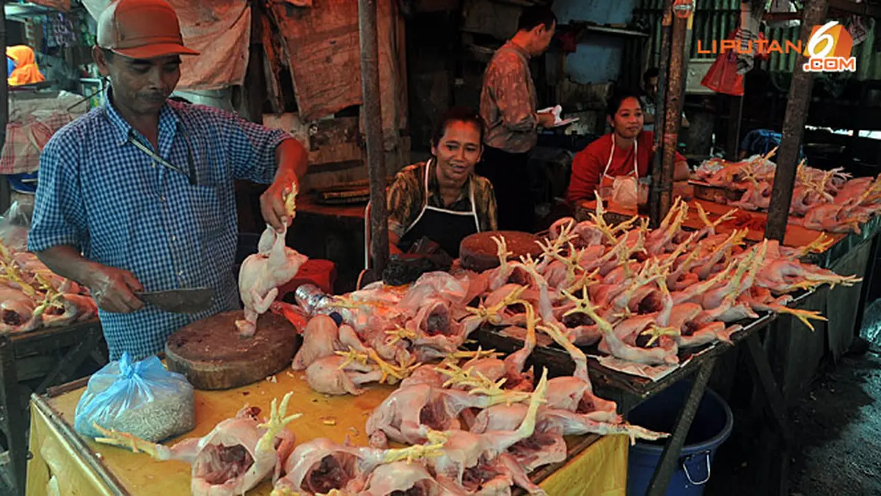 ayam-potong130710b.jpg