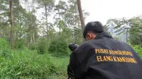 Sepasang elang Jawa bernama Nyi Santi dan Ki Tarum diterbangkan Jokowi di wilayah Situ Cisanti pada akhir Februari lalu. (Liputan6.com/Jayadi Supriadin)