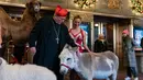 Uskup Agung New York yang kesepuluh memercikkan air suci ke hewan-hewan itu untuk mengantisipasi penampilan pembukaan mereka dalam perayaan Natal pada 17 November. (AP Photo/Peter K. Afriyie)