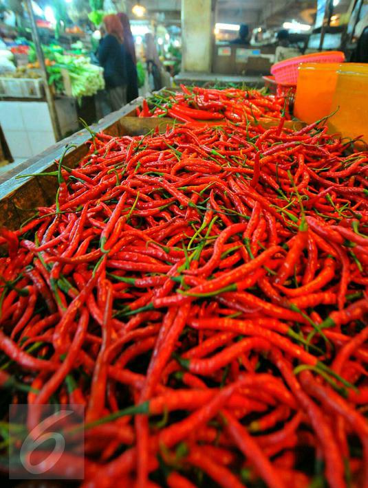 Sebelumnya, Menteri Pertanian Andi Amran Sulaiman mengatakan, persoalan kenaikan harga cabai belakangan ini bukan disebabkan oleh faktor kurangnya produksi tetapi faktor musim hujan, Tangerang, Jumat (6/1). (Liputan6.com/Angga Yuniar)