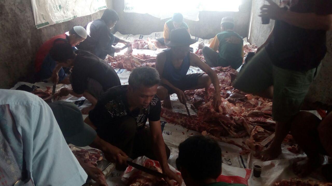 Suasana pemotongan hewan kurban