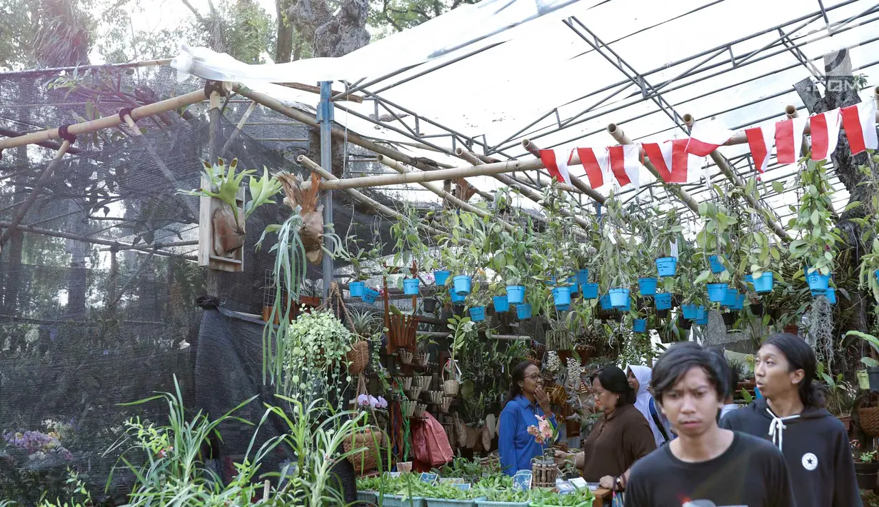 Pengunjung melihat-lihat tanaman yang dijual dalam pameran Flora dan Fauna 2018 di Taman Lapangan Banteng, Jakarta, Selasa (21/7). Pameran ini diselenggarakan oleh Dinas Kehutanan Provinsi DKI Jakarta. (Liputan6.com/Immanuel Antonius)