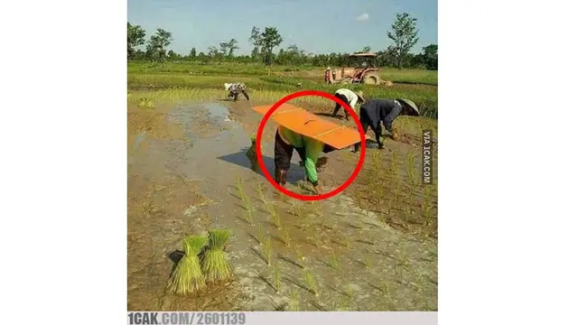 6 Kelakuan Nyeleneh saat di Sawah Ini Bikin Geleng Kepala