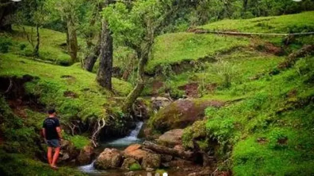 Cagar Alam Gunung Mutis di Timor Tengah Selatan, NTT
