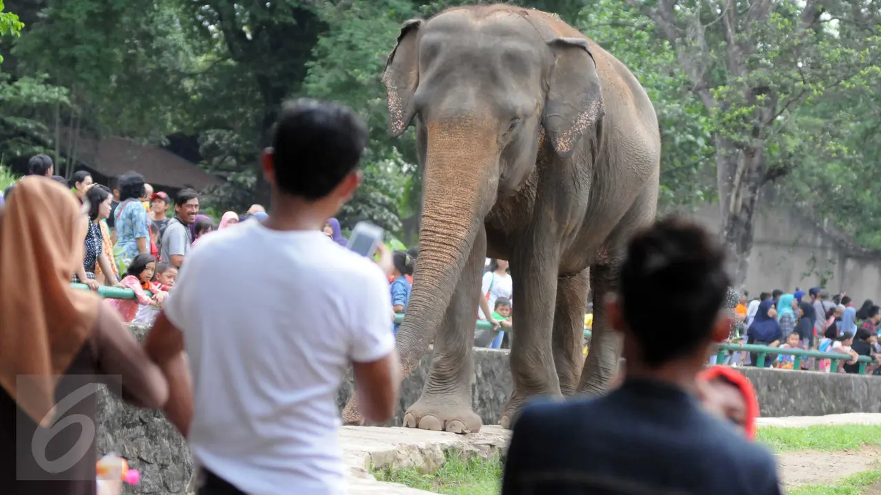 20151227-Kebun Binatang Ragunan-Jakarta-Helmi Afandi