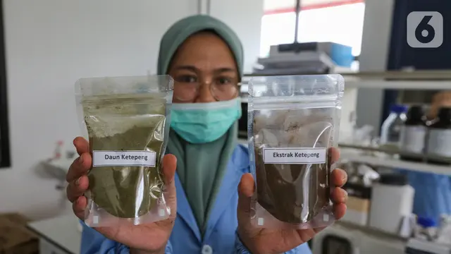 Peneliti LIPI Temukan Daun untuk Menghambat Virus Covid-19 Pusat Penelitian Kimia Puspitek, Serpong.