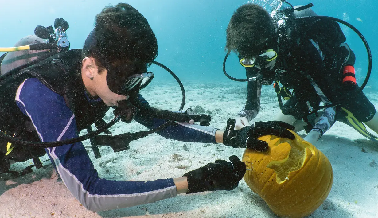 Dua penyelam membandingkan labu ukiran mereka saat Kontes Mengukir Labu Bawah Air di Florida Keys, Florida, Minggu (14/10). Kontes ini cukup sulit mengingat labu akan mengambang ke atas jika dibawa terlalu dalam. (Frazier Nivens/various sources/AFP)