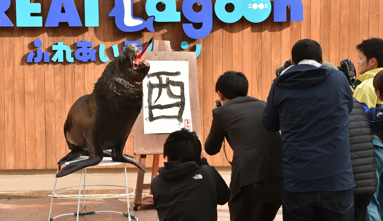 Para fotografer mengabadikan foto Leo usai membuat aksara Tiongkok di Hakkeijima Sea Paradise akuarium di Yokohama, Tokyo, Jepang (26/12). (AFP/Kazuhiro Nogi)