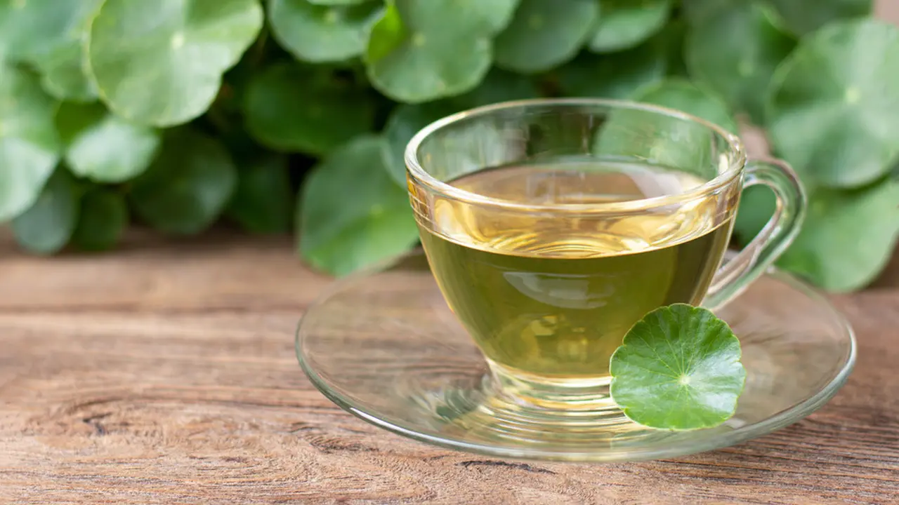 teh daun binahong
