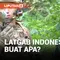 Latihan gabungan antara militer Indonesia dan AS kembali digelar di Lampung. Sejumlah skenario perang dipelajari dan dipraktikan dalam latihan selama seminggu ini. Pengamat menilai, hubungan Indonesia dengan AS akan bergantung pada prioritas pemerint...