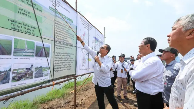 Optimasi Lahan Rawa Naikkan Indeks Pertanaman