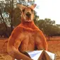 Kanguru yang diberi nama Roger memiliki tinggi 2 meter, dan mampu meremukkan ember yang terbuat dari kaleng. (Sumber: The Kangaroo Sanctuary)