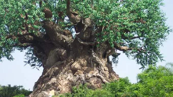 7 Pohon Aneh yang Menyerupai Manusia