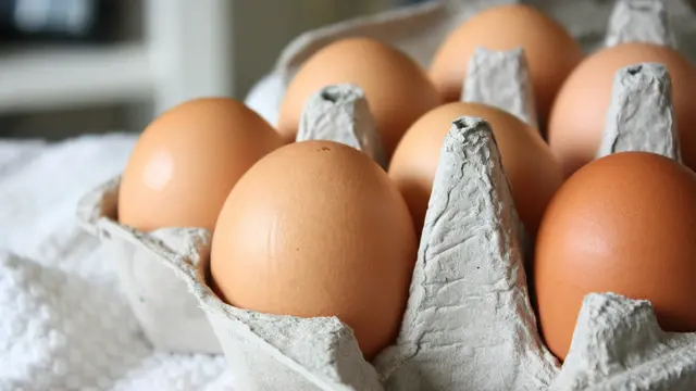 Wadah Telur Bekas Bisa Buat Apa? 9 Ide Kreatif Daur Ulangnya