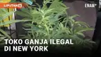 Negara bagian New York, AS, telah melegalkan konsumsi ganja rekreasional sejak Maret 2021. Namun kini banyak toko ganja illegal bermunculan di setiap sudut Kota New York. Bagaimana pemerintah merespon? Simak Laporan VOA berikut ini.