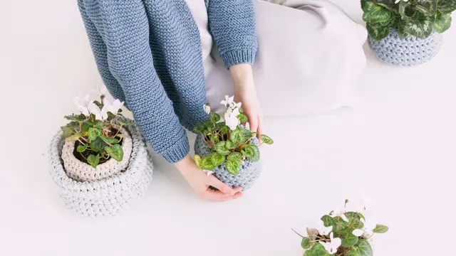 Arti Mimpi Menanam Bunga yang Bikin Penasaran