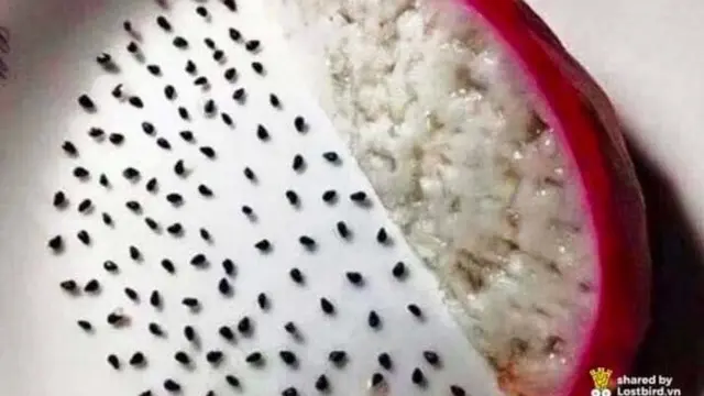 7 Aksi Kelewat Gabut dengan Makanan Ini Bikin Geleng Kepala