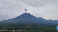 Gunung Semeru kembali erupsi dengan tinggi letusan 1000 meter (Istimewa)