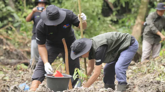BRI Peduli Grow & Green Tanam 2.500 Bibit Pohon Durian di Berau