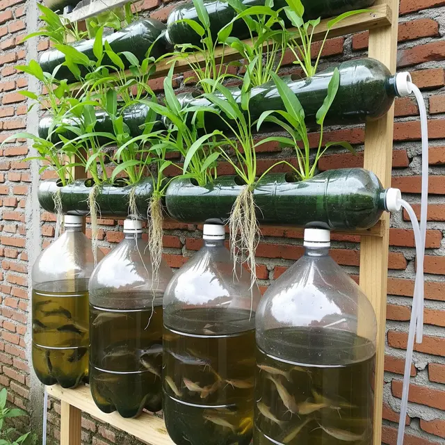 Ide Ternak Lele dari Barang Bekas di Rumah (Image by Gemini AI)