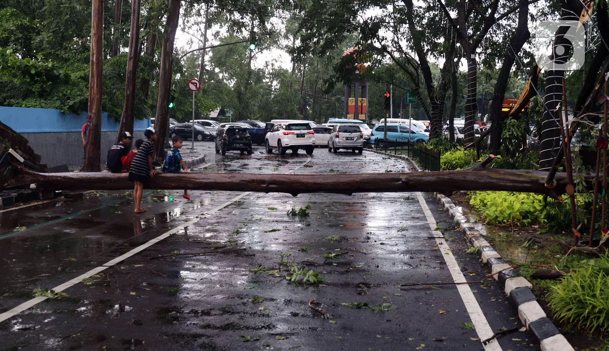 Anak-anak duduk pada pohon tumbang yang melintang di sebuah jalan di Kota Tangerang, Banten, Kamis (23/12/2021). Puluhan pohon dan gapura tumbang akibat terjangan angin kencang saat hujan lebat melanda Kota Tangerang. (Liputan6.com/Angga Yuniar)