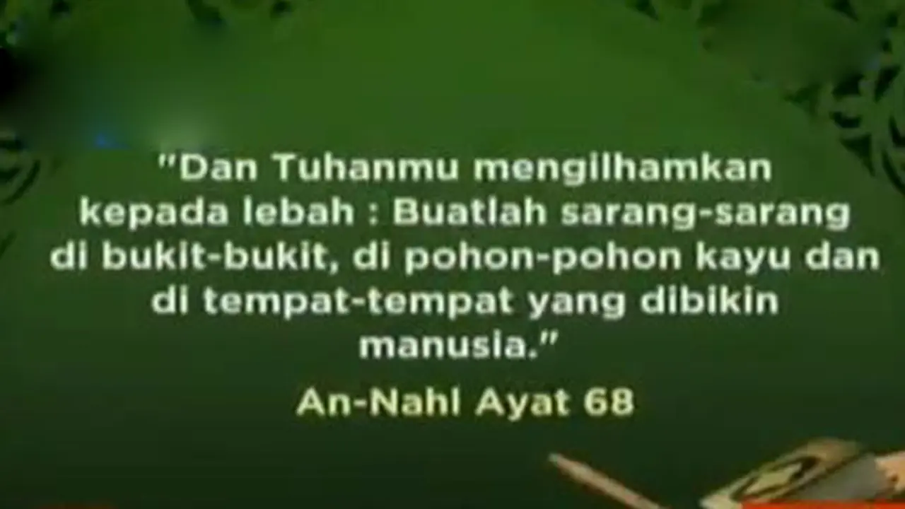 Karamah: Belajar Hidup Bergotong-Royong dari Lebah