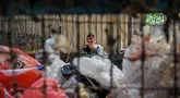 Seorang pekerja memilah sampah plastik yang dikumpulkan di sebuah depo dari 660 bank sampah di seluruh Surabaya, Jawa Timur pada 17 Juni 2025. (JUNI KRISWANTO/AFP)