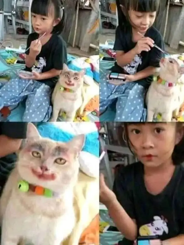 6 Kucing Pakai Makeup Biar Terlihat Cantik Ini Kocak, Ada yang Menor Banget