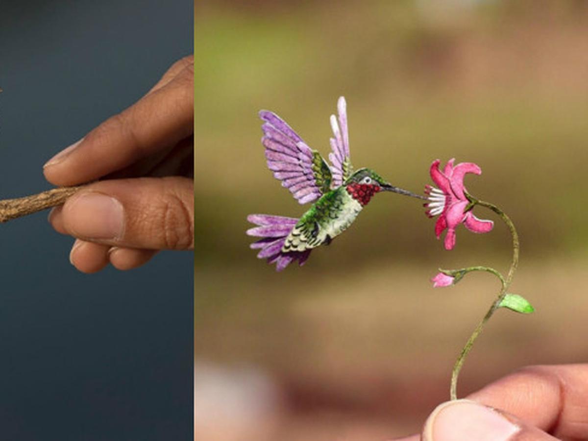 66 Gambar Burung Merak Pake Pensil Gratis Terbaru