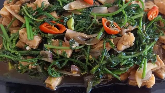 Oseng Tempe Daun Pakis