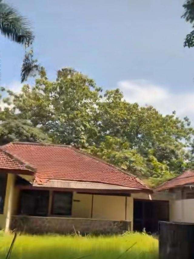 Perumahan Dinas Krakatau Steel Terbengkalai