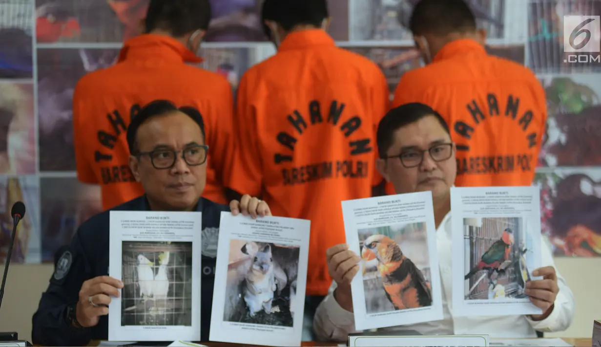 Karopenmas Divisi Humas Polri Brigjen Pol Dedi Prasetyo (kiri) dan Tipidter Bareskrim Polri Brigjen Pol Mohammad Fadil Imran menunjukkan barang bukti saat gelar kasus perdagangan ilegal satwa dilindungi di Gedung Bareskrim Polri, Jakarta, Rabu (7/2/2019). (merdeka.com/Imam Buhori)