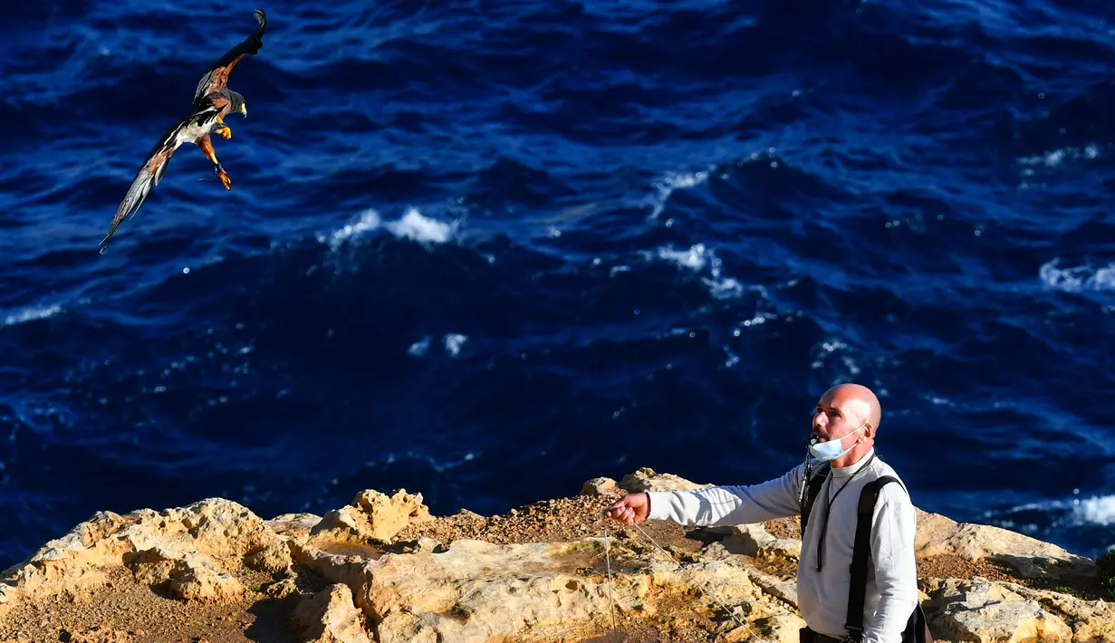 Pawang beserta burung elang harris peliharaannya berpartisipasi dalam acara demonstrasi berburu menggunakan burung elang di Wied iz-Zurrieq, Malta, 22 November 2020. Acara ini digelar untuk memperingati Hari Burung Elang Sedunia. (Xinhua/Jonathan Borg)