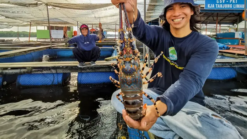 PT Pupuk Kalimantan Timur berhasil mendampingi berjalannya program Keramba Jaring Apung (KJA).