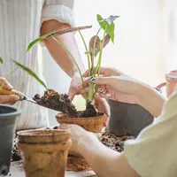 Ilustrasi/copyrightshutterstock/KT Stock photos