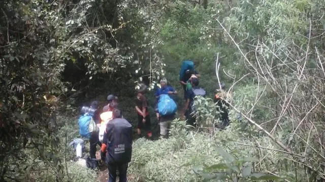 Hutan di Gunung Karacak yang berlokasi di Garut