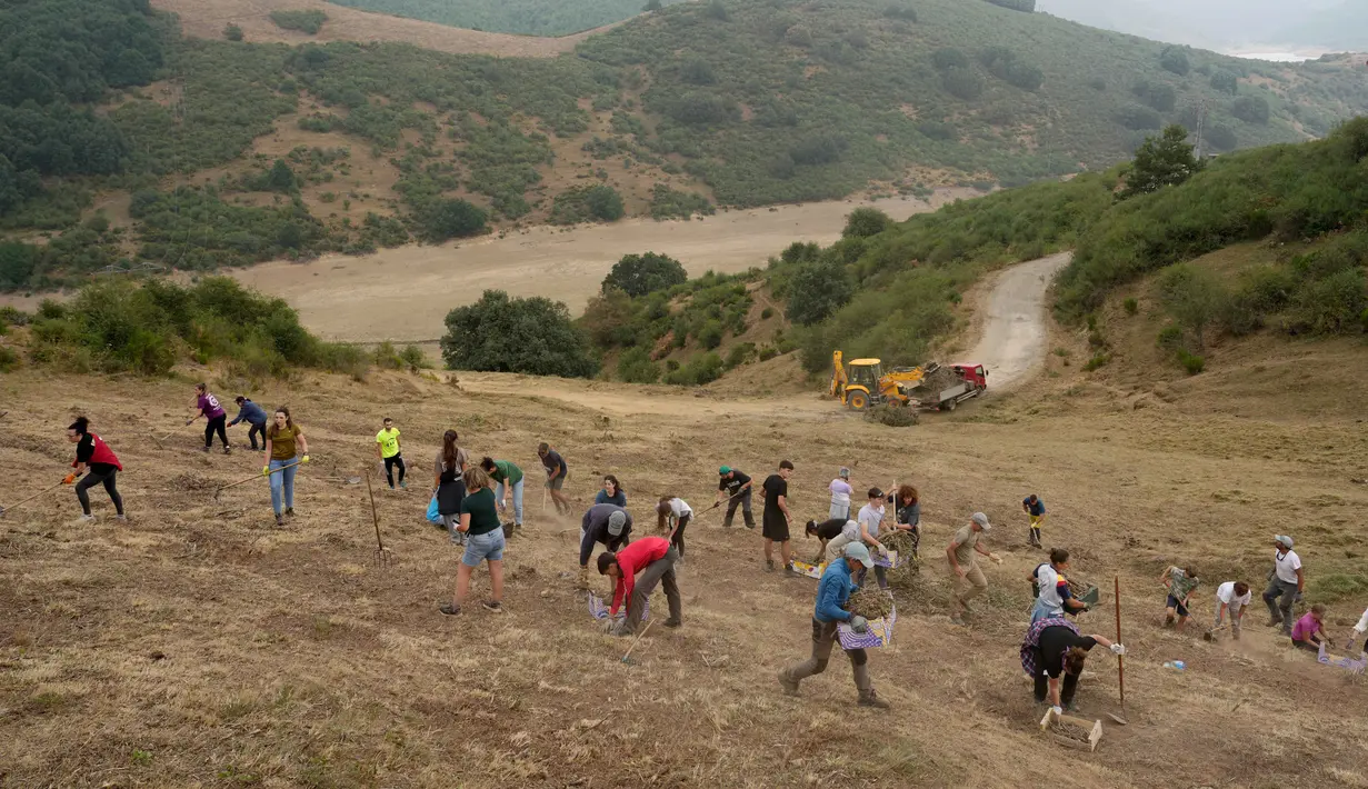 Kebakaran hutan di Spanyol pada tahun 2025, sejauh ini telah menghanguskan lebih dari 343.000 hektar (848.000 acre), melampaui rekor sebelumnya untuk periode yang sama sebesar 306.000 hektar, yang ditetapkan pada 2022. (CESAR MANSO/AFP)