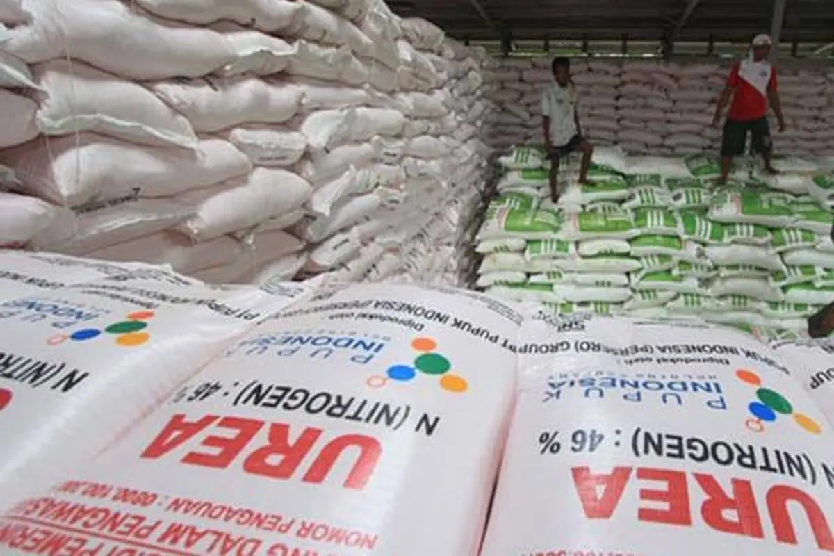 Ilustrasi stok pupuk urea bersubsidi (Istimewa)