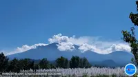 Gunung Raung Erupsi, Tinggi Letusan Capai 600 meter (Istimewa)