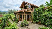 9 Ide Rumah Kampung dengan Bukaan Besar dan Tanaman untuk Kesejukan Alami