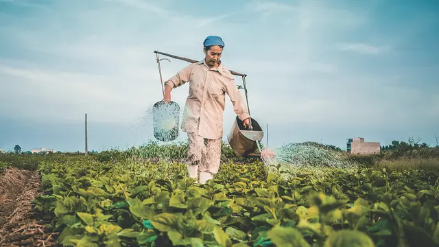 [Fimela] Ilustrasi Petani