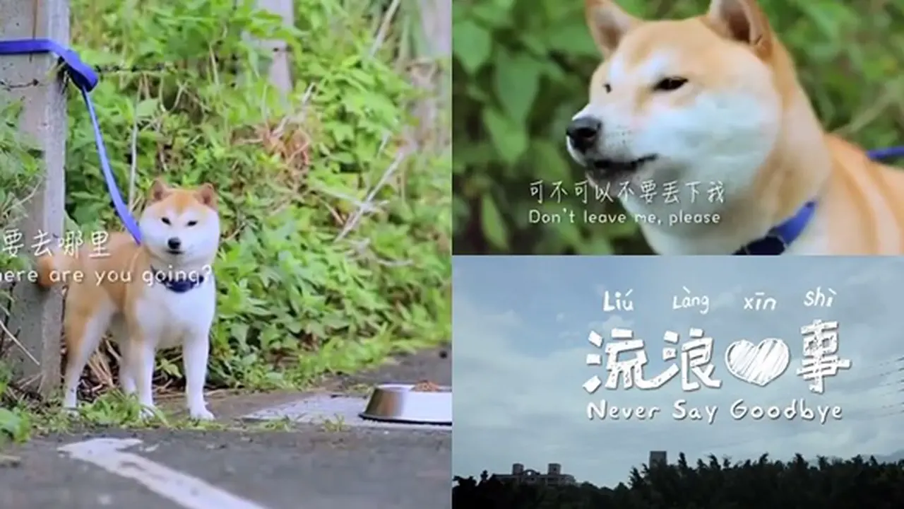 Photo copyright Youtube/Chang Puper