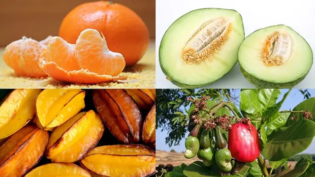 Jeruk Manis, Belimbing, Melon, dan Jambu Mete