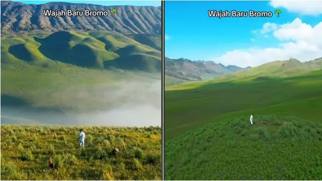 Potret Kondisi Terbaru Gunung Bromo Pasca Kebakaran Ini Jadi Sorotan, Semakin Hijau